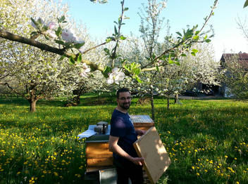 Spring blooming at the apiary